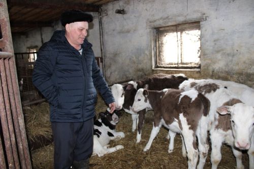Мул тормыш тырыш хезмәткә бәйле