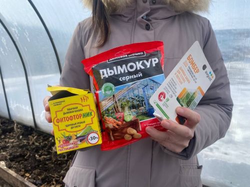 Яңа сезонга теплицаны ничек әзерләргә?