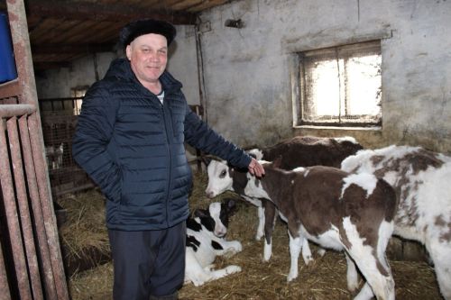 Житель села Нижнее Бишево Сергей Михайлов сделал ставку на мясное и молочное животноводство