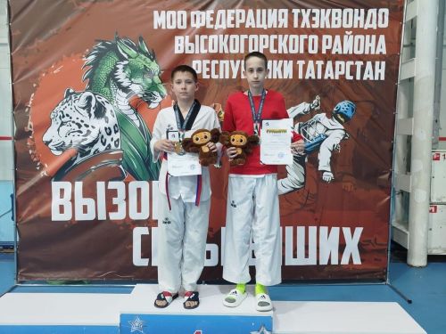 Заинские тхэквондисты взяли бронзу на первенстве Высокогорского района
