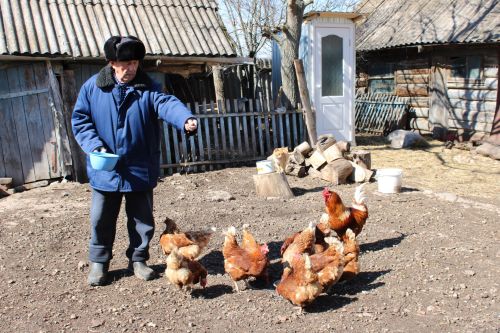 Тылда Җиңү көнен якынайтканнар