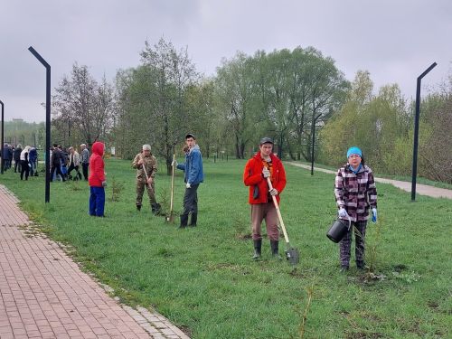 Жители Заинска присоединились к всероссийской акции «Сад памяти»