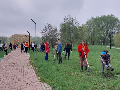 Жители Заинска присоединились к всероссийской акции «Сад памяти»