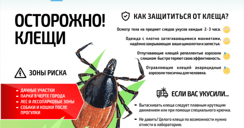 Клещевой боррелиоз: симптомы, профилактика и действия при укусе клеща