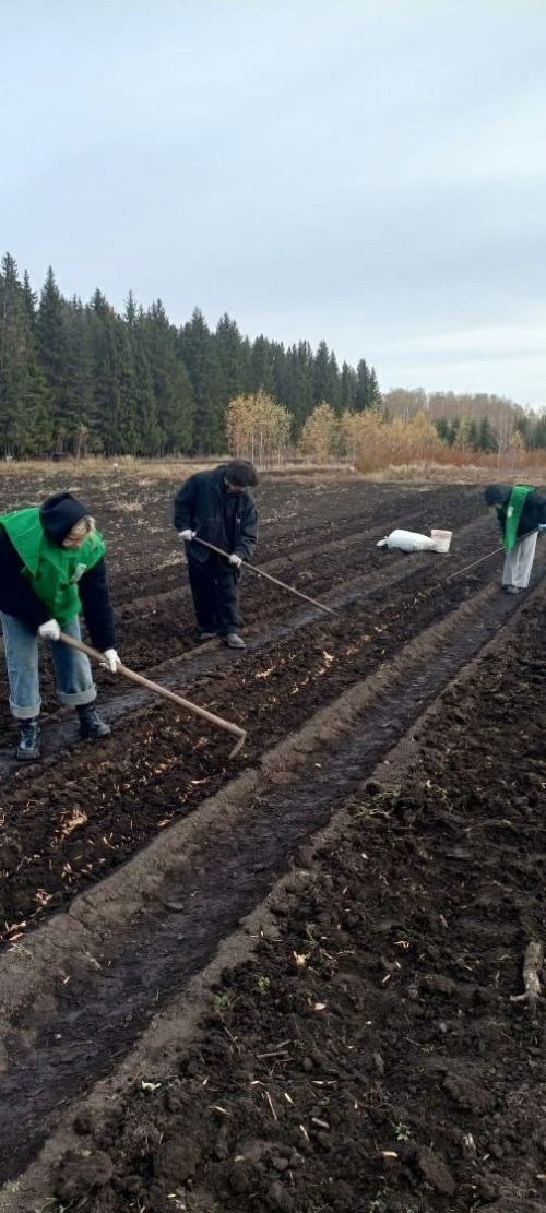 Заинские студенты приняли участие в посадке деревьев в лесопитомнике
