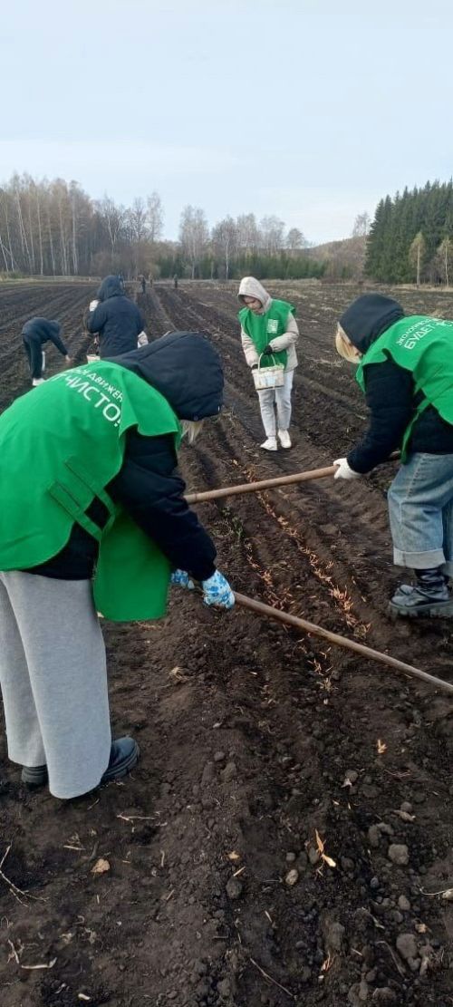 Заинские студенты приняли участие в посадке деревьев в лесопитомнике