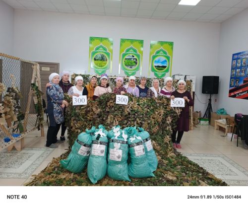 Аксарлылар 300нче маскировка челтәрен үрде