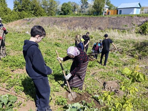 В память о школе: жители Верхнешипкинского поселения посадили ясеневый парк