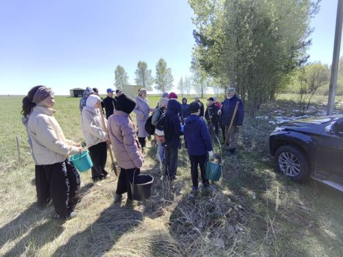 В память о школе: жители Верхнешипкинского поселения посадили ясеневый парк