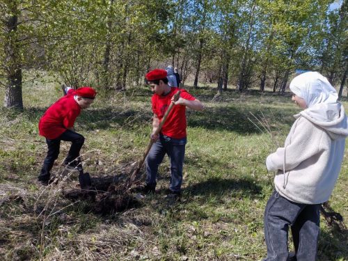 В память о школе: жители Верхнешипкинского поселения посадили ясеневый парк