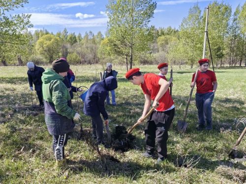 В память о школе: жители Верхнешипкинского поселения посадили ясеневый парк