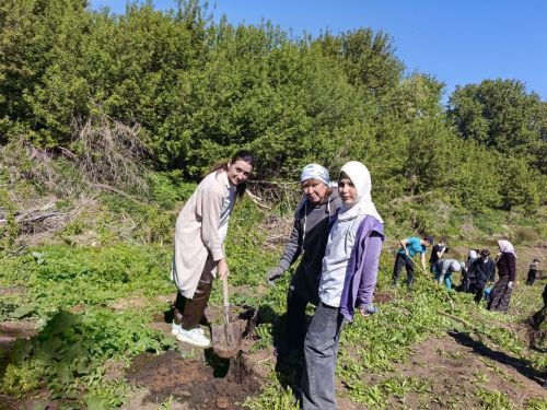 В память о школе: жители Верхнешипкинского поселения посадили ясеневый парк