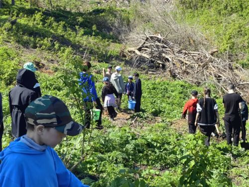 В память о школе: жители Верхнешипкинского поселения посадили ясеневый парк