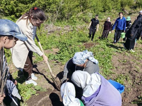 В память о школе: жители Верхнешипкинского поселения посадили ясеневый парк