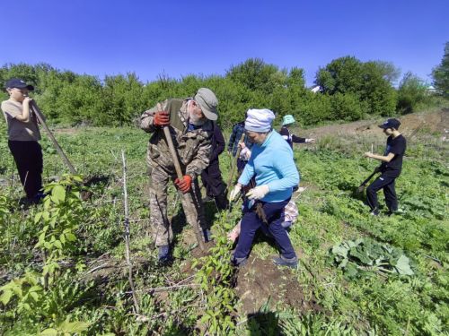 В память о школе: жители Верхнешипкинского поселения посадили ясеневый парк