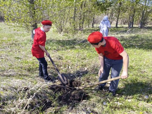 В память о школе: жители Верхнешипкинского поселения посадили ясеневый парк