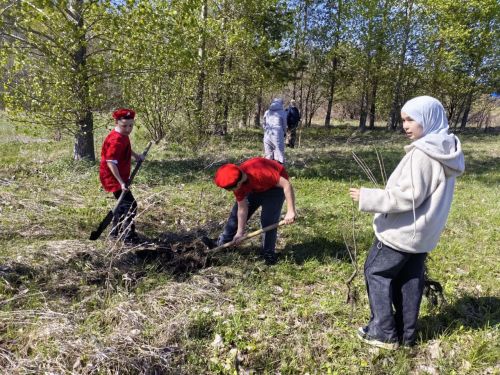 В память о школе: жители Верхнешипкинского поселения посадили ясеневый парк