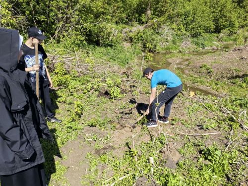 В память о школе: жители Верхнешипкинского поселения посадили ясеневый парк