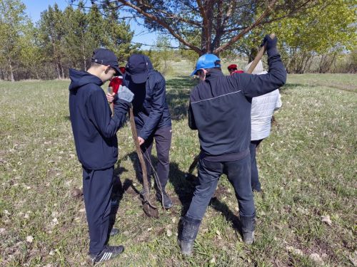 В память о школе: жители Верхнешипкинского поселения посадили ясеневый парк