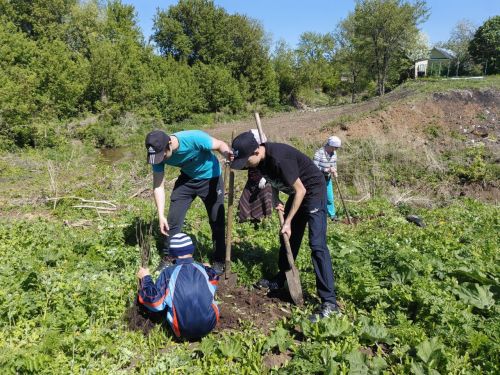 В память о школе: жители Верхнешипкинского поселения посадили ясеневый парк