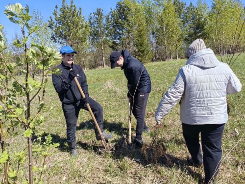 В память о школе: жители Верхнешипкинского поселения посадили ясеневый парк