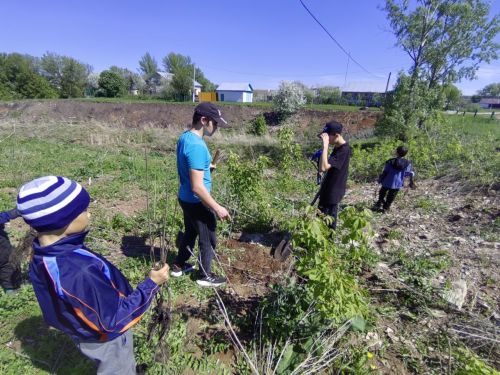 В память о школе: жители Верхнешипкинского поселения посадили ясеневый парк