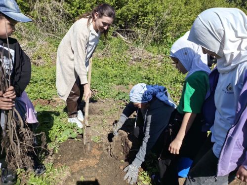 В память о школе: жители Верхнешипкинского поселения посадили ясеневый парк