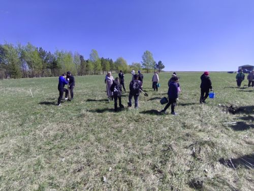 В память о школе: жители Верхнешипкинского поселения посадили ясеневый парк