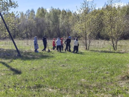 В память о школе: жители Верхнешипкинского поселения посадили ясеневый парк