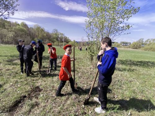 В память о школе: жители Верхнешипкинского поселения посадили ясеневый парк