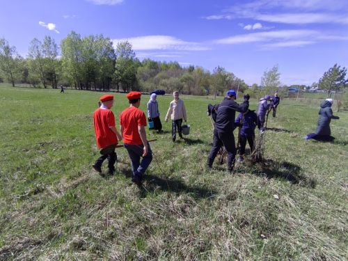 В память о школе: жители Верхнешипкинского поселения посадили ясеневый парк