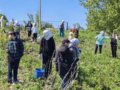 В память о школе: жители Верхнешипкинского поселения посадили ясеневый парк