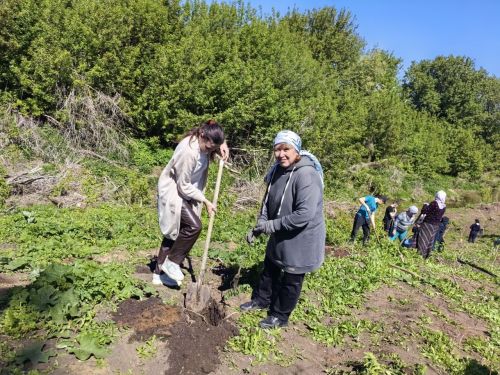 В память о школе: жители Верхнешипкинского поселения посадили ясеневый парк