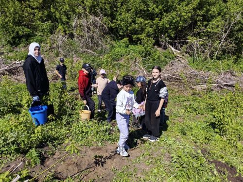 В память о школе: жители Верхнешипкинского поселения посадили ясеневый парк