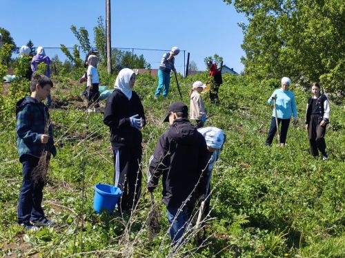 В память о школе: жители Верхнешипкинского поселения посадили ясеневый парк