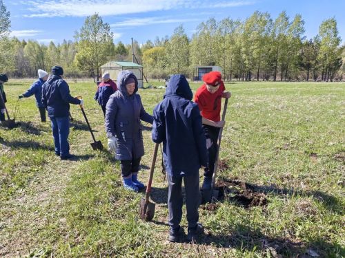 В память о школе: жители Верхнешипкинского поселения посадили ясеневый парк