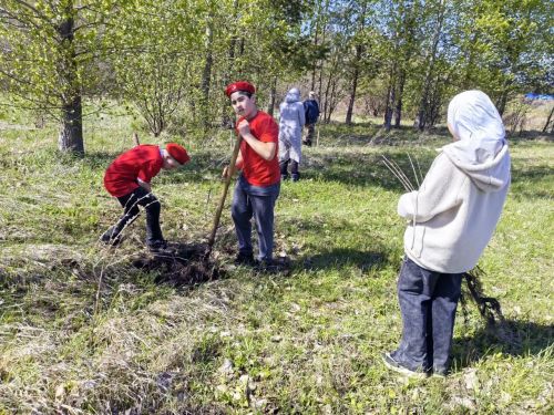 В память о школе: жители Верхнешипкинского поселения посадили ясеневый парк