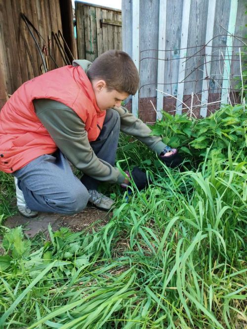 Заинская молодежь помогла по хозяйству родным участников специальной военной операции