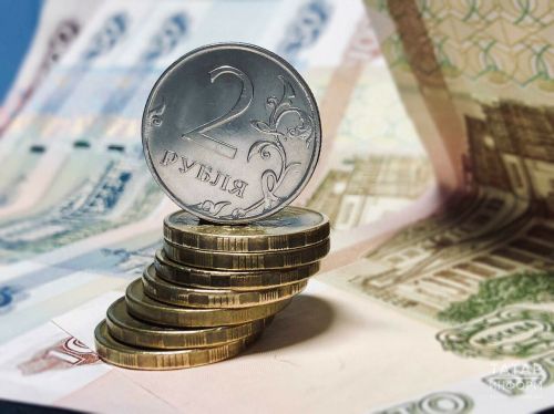 В Госдуме предложили выплачивать домохозяйкам прожиточный минимум