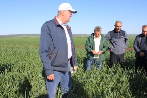 Разиф Кәримов: “Уңышлы еллар булсын!”