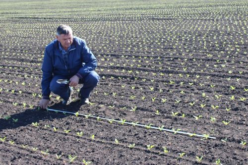 Разиф Кәримов: “Уңышлы еллар булсын!”