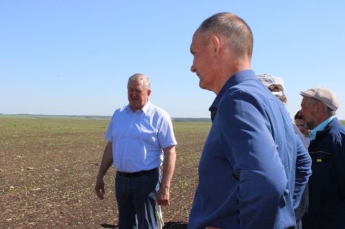 Разиф Кәримов: “Уңышлы еллар булсын!”