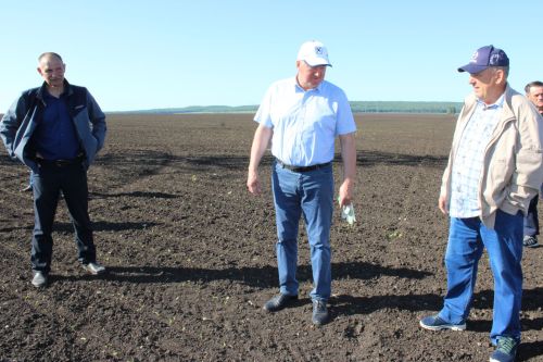 Разиф Кәримов: “Уңышлы еллар булсын!”