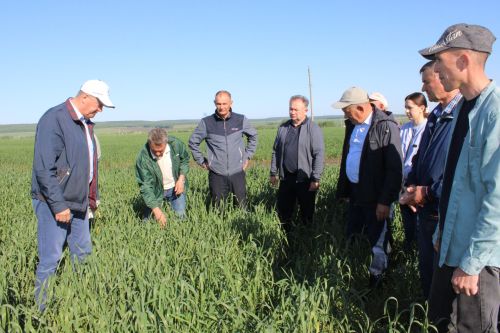 Разиф Кәримов: “Уңышлы еллар булсын!”