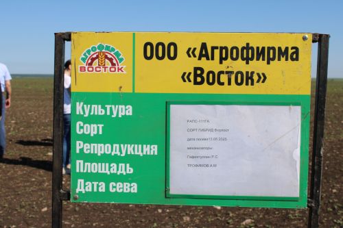 Разиф Кәримов: “Уңышлы еллар булсын!”