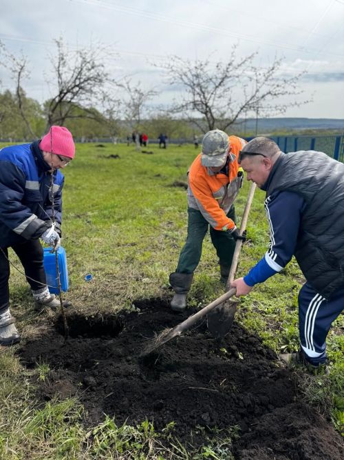 Поручик җирлегендә яшәүчеләр “Хәтер бакчасы” утырттылар