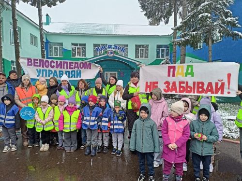 В детском саду «Василёк» прошёл урок безопасности