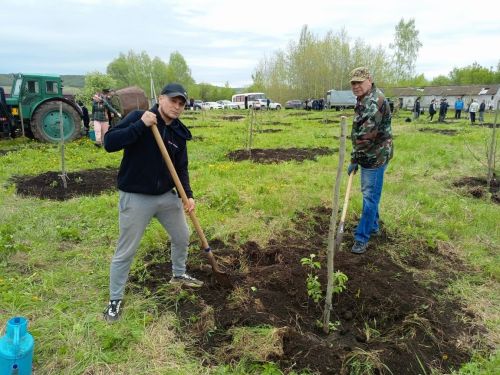 80 төп җимеш агачы утыртылган алма бакчасы тынычлык символы булсын