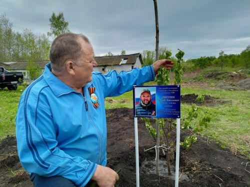«Сад памяти» в честь героев СВО появился в селе Светлое Озеро