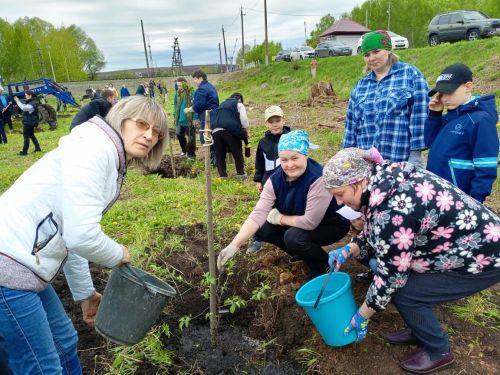 80 төп җимеш агачы утыртылган алма бакчасы тынычлык символы булсын